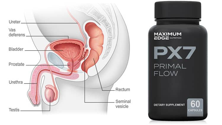 PX7 Primal Flow prostate health supplement